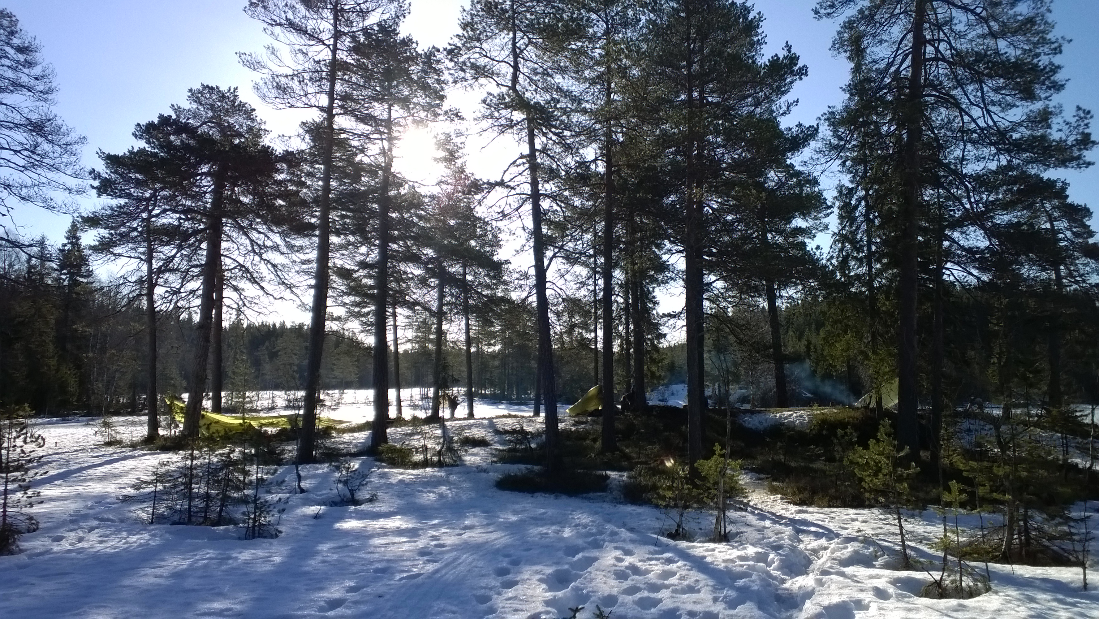 Forside bilde til siden "Avlysninger knyttet til koronaviruset"